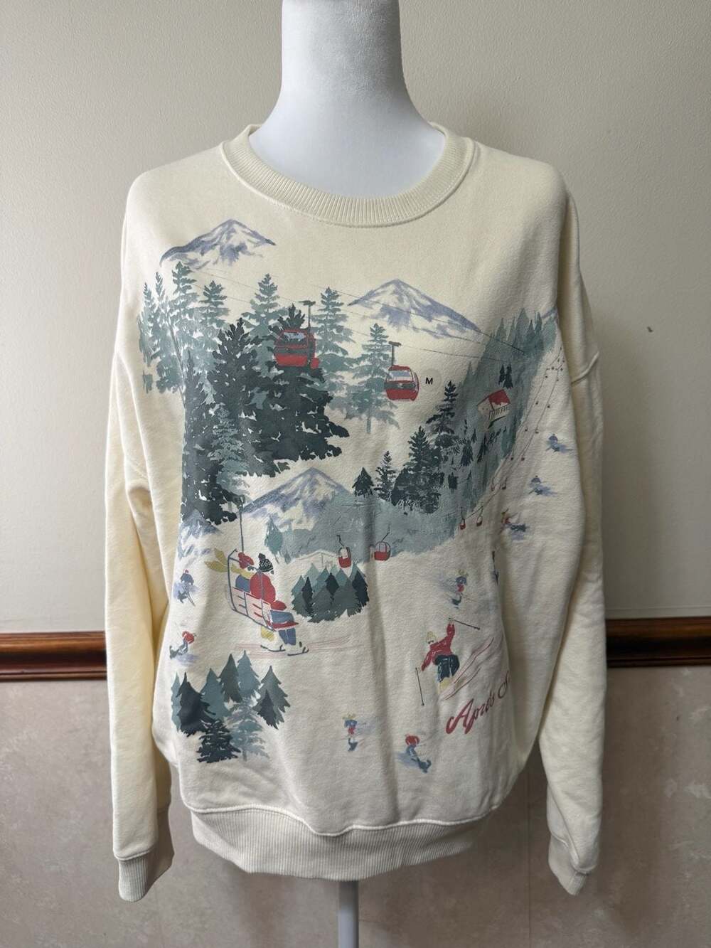 American Eagle Après Ski Winter Mountain Landscape Graphic Sweatshirt